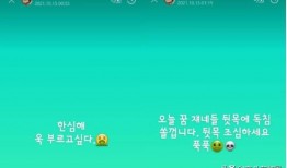 韩国财阀ins爆料视频,权力与金钱的暗流涌动